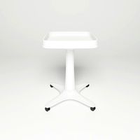 Salon Rolling Trolley Cart