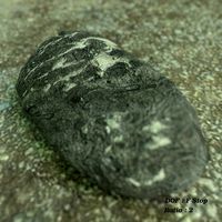 Rock 1 e