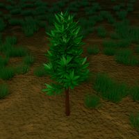 Tree - Basic