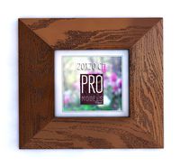 PRO frame
