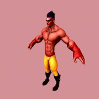 Street Fighter Fantasy