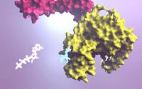 G protein