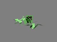 Purple plant