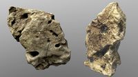 Holy Limestone Rock Scan