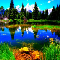 Nature Backdrop Pack1