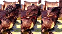 Dragons Pack PBR