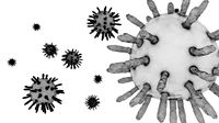 Corona Virus
