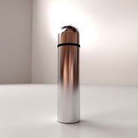 Vacuum Flask 3D Model