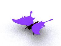 Butterfly