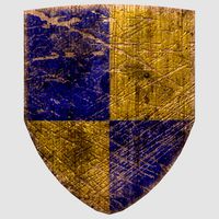 Damaged Kite Shield