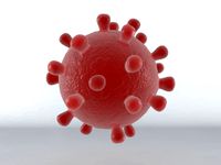 COVID-19 Coronavirus