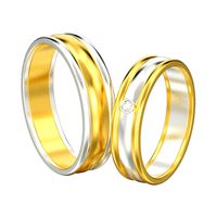 Set of two wedding rings with two type of metal 3D print model