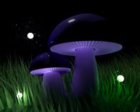 Mushrooms
