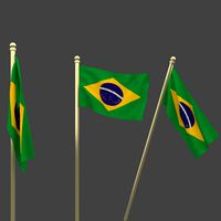 FLAG BRAZIL