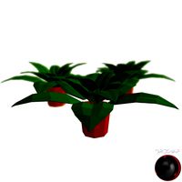 Generic House Plant