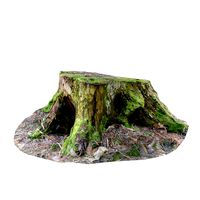 Stump