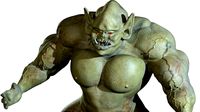 Orc albino