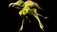 Alien insect