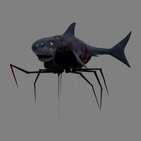 Shark