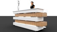 Modern Reception Counter