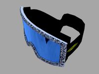 Snow goggles