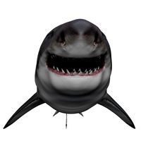 white shark male