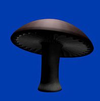 Mushroom