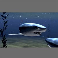 Great White Shark