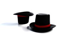 Generic hat