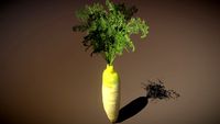 White Carrot