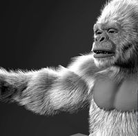 Gorilla Fur