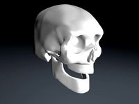 Skull