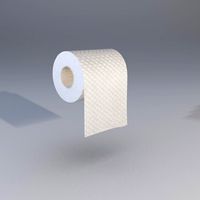 Toilet Paper