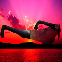 LordMaddogs Sun Glasses
