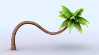 Beach Palm Tree