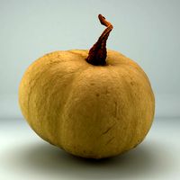 Pumpkin