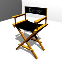Director Chair