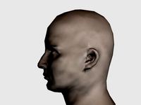 head