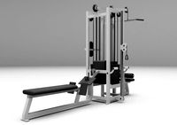 combo pulley station