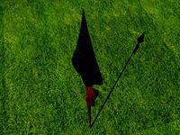 Spear