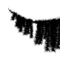 Dynamic Spruce Branch