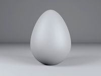 Egg