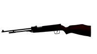Air Rifle (22 Rifle)(1)