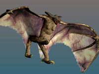 Giant Bat