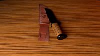 Combat Knife