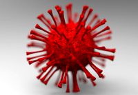 Virus - Corona Virus