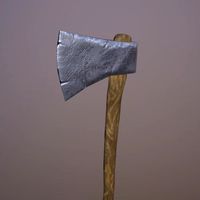 Axe with wooden handle