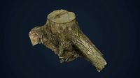 Treestump 01