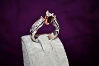 Ring 6