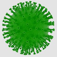 Coronavirus in Blender and stl
